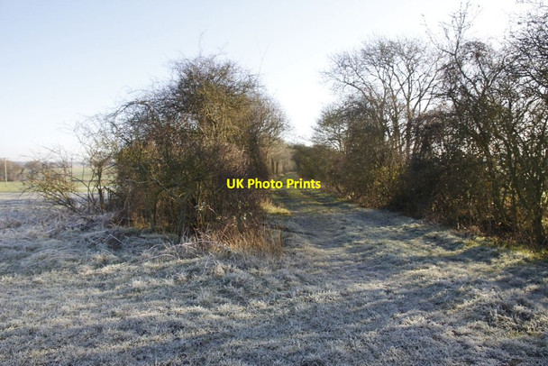 Photo 6"x4" Gap in the hedge Piddington\/SP8054 c2012