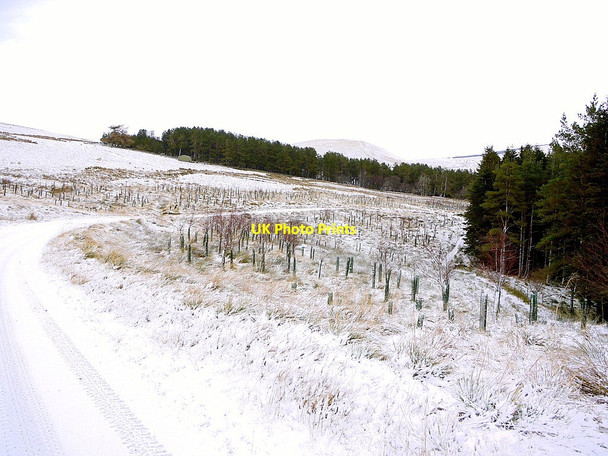 Photo 6"x4" Track to Uswayford near Murder Cleugh Barrow Burn\/NT8610 c2012