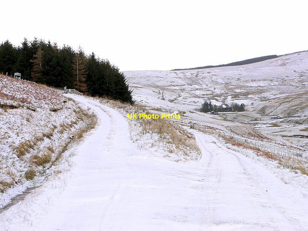 Photo 6"x4" Track junction west of Uswayford Hazely Law c2012