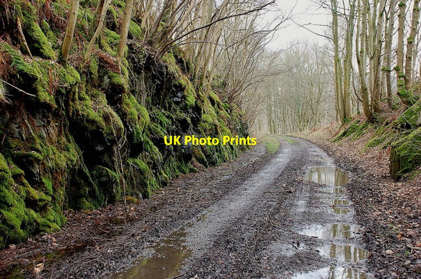 Photo 6"x4" Cutting for the old Peebles line, Rachan Drumelzier\/NT1334 c2012