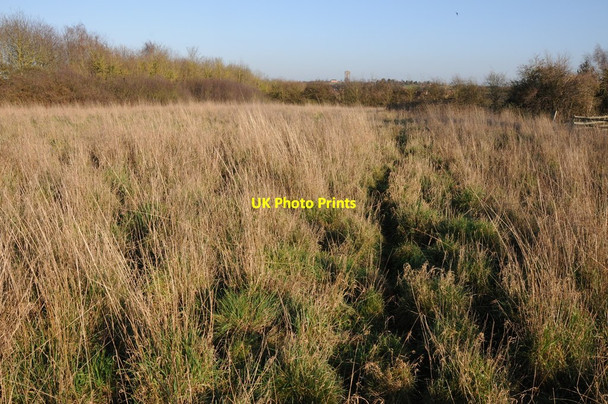 Photo 6"x4" Rough grazing near Pulley Farm Droitwich c2012