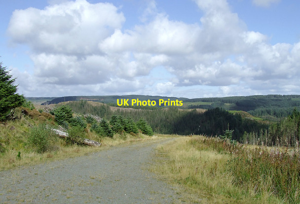 Photo 6"x4" Forestry road in the Dalarwen Plantation, Ceredigion Llyn Brianne\/SN7951 c2010