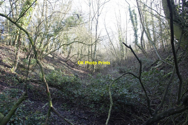 Photo 6"x4" Down the embankment Horton\/SP8154 c2012