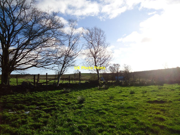 Photo 6"x4" Castlecary Muir, Rashbush (ruin) Abronhill c2012