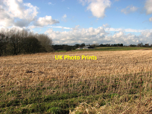 Photo 6"x4" Stubble field south of Thorpe's Hill, Hintlesham Burstall c2012