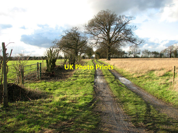 Photo 6"x4" Public footpath to Orchard Lands, Burstall Burstall c2012