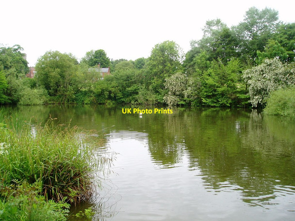 Photo 6"x4" Bailey Pond, Lidgate, Suffolk Lidgate\/TL7257 c2008