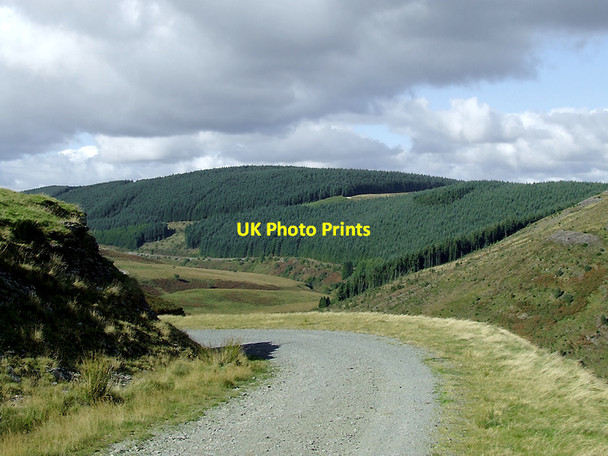 Photo 6"x4" Forestry road and Tywi Forest in Ceredigion Llyn Brianne\/SN7951 c2010