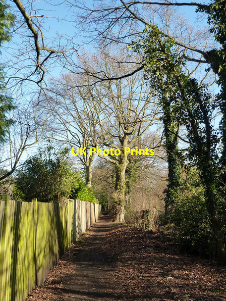 Photo 6"x4" Footpath south of Forest Drive Keston c2012