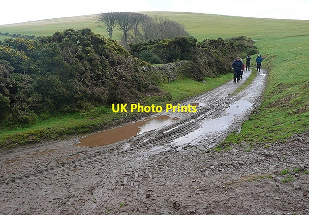Photo 6"x4" Footpath past Kipscombe Farm Countisbury c2011