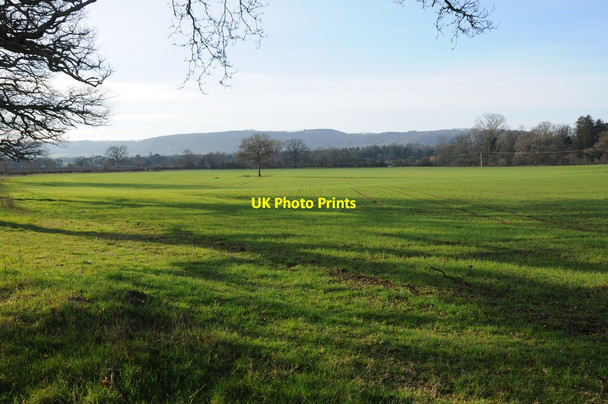 Photo 6"x4" Arable land at Staunton on Wye Staunton on Wye c2012