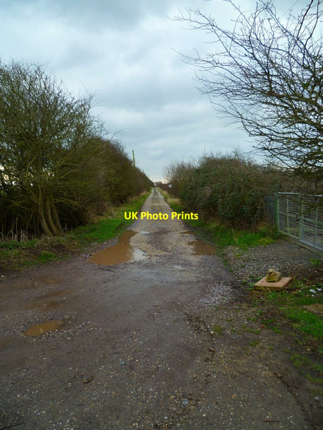Photo 6"x4" Footpath beside Selsey Country Club Selsey c2012 P1