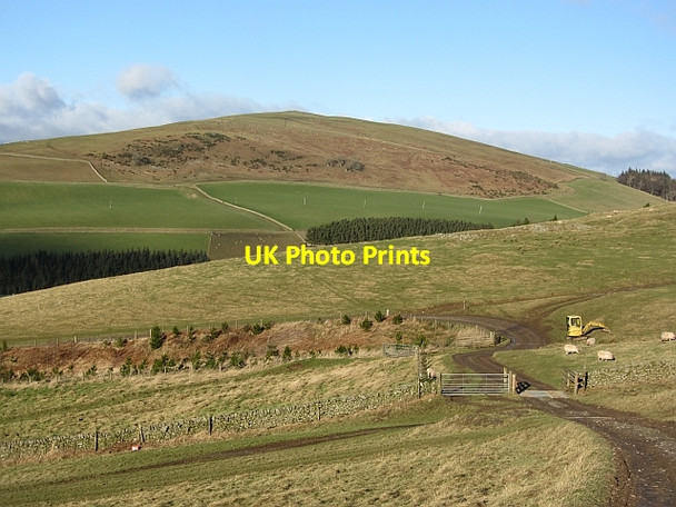 Photo 6"x4" Road on Meigle Hill Clovenfords c2012