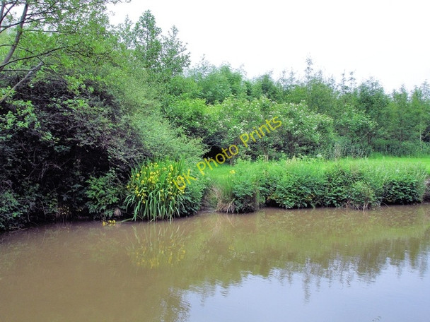 Photo 6"x4" Whitchurch - Llangollen Canal north of Danson's Bridge Whitchurch\/SJ5441 c2008