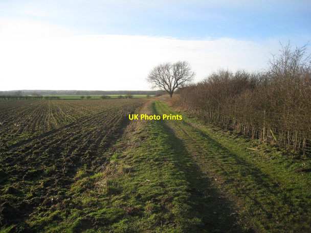 Photo 6"x4" Bryans Close Lane Austerfield c2012