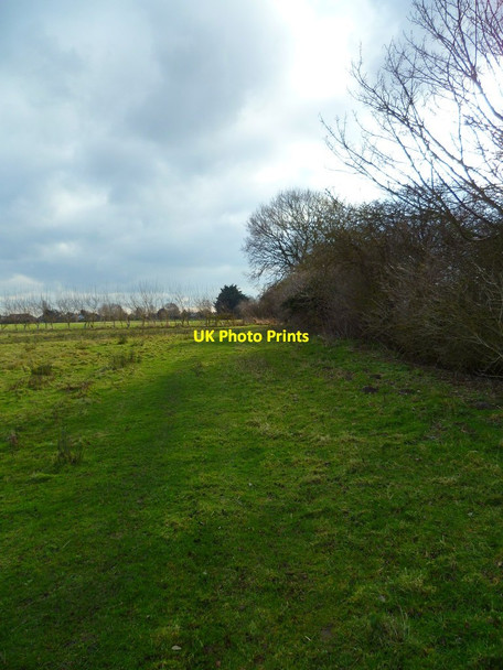 Photo 6"x4" Field path near Rookery Farm Sidlesham c2012