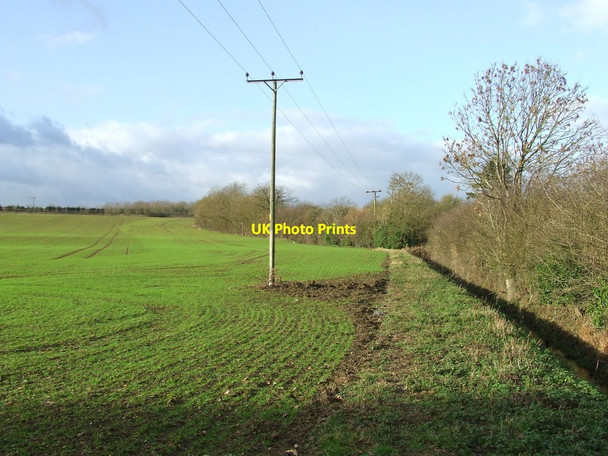 Photo 6"x4" Footpath And Green Field Thorpe Green\/TL9354 c2012