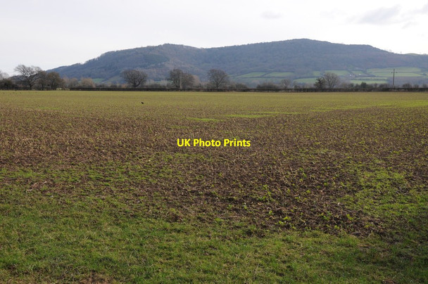 Photo 6"x4" Arable land at Winforton Winforton c2012