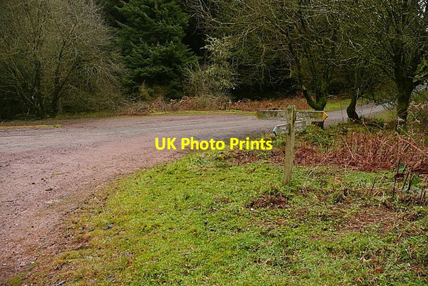 Photo 6"x4" Junction at SW978396 Churchtown\/SS9738 c2011