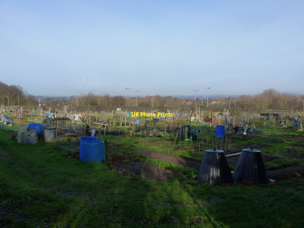 Photo 6"x4" Allotments west of Bayston Hill Bayston Hill c2012