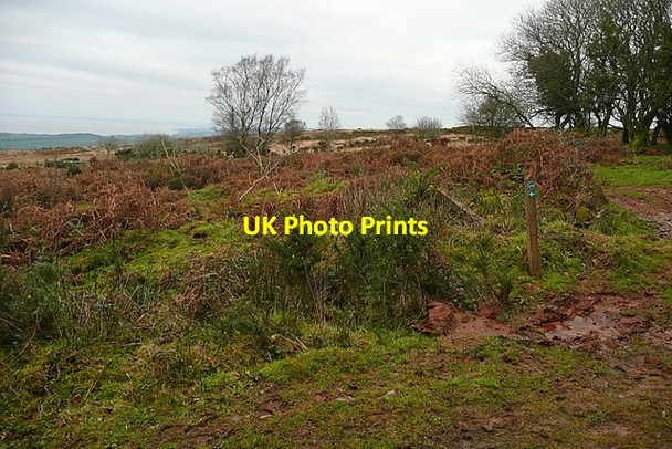 Photo 6"x4" Junction on Rodhuish Common Rodhuish c2011