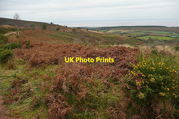 Photo 6"x4" View from Rodhuish Common Rodhuish c2011