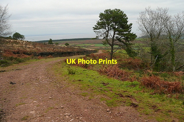 Photo 6"x4" Bridleway from Rodhuish Common Carhampton c2011