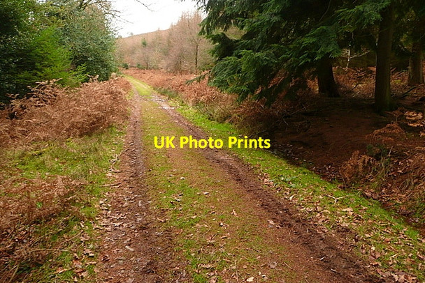 Photo 6"x4" Footpath past Gupworthy Farm Churchtown\/SS9738 c2011