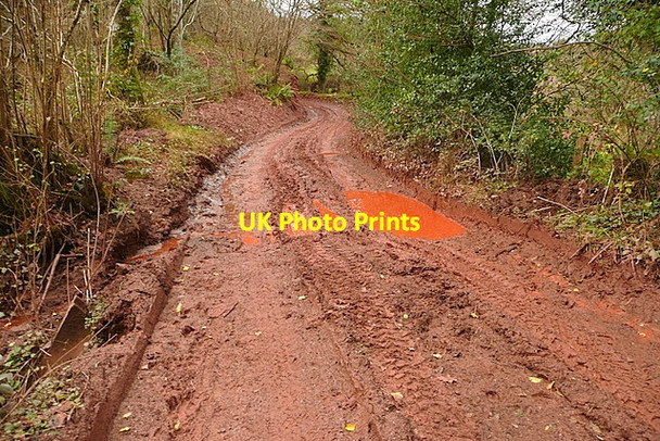 Photo 6"x4" Longcombe Lane Carhampton c2011