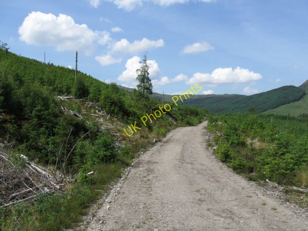 Photo 6"x4" Looking along forestry track River Loy c2008
