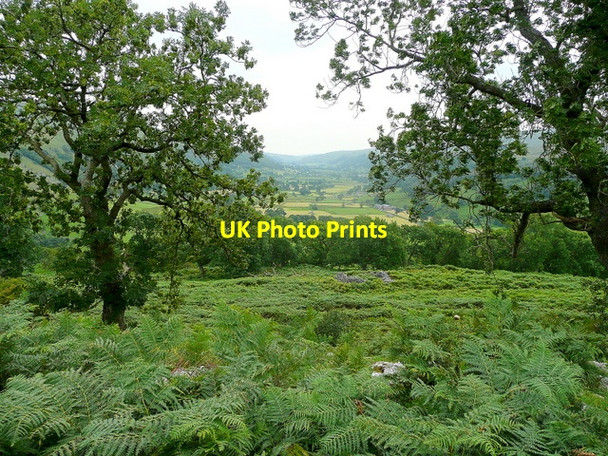 Photo 6"x4" Glimpse of Wharfedale Hubberholme c2010