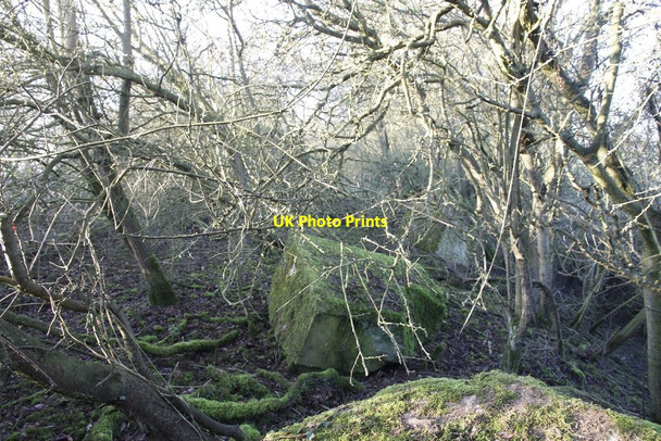 Photo 6"x4" End of the bridge Horton\/SP8154 c2012