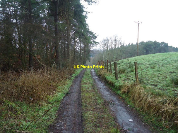 Photo 6"x4" Castlecary, farm track Castlecary c2012