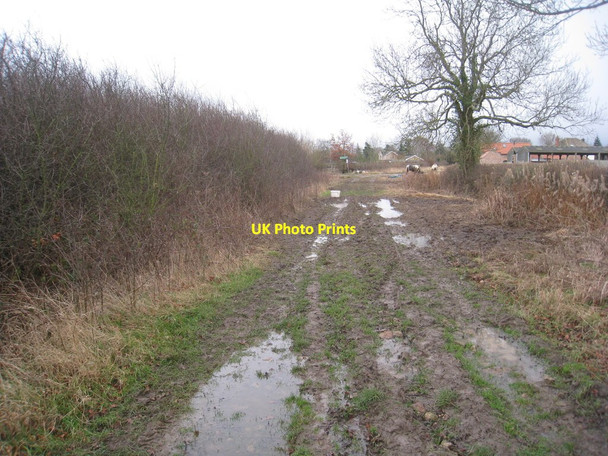 Photo 6"x4" Wood Lane Fishlake c2012