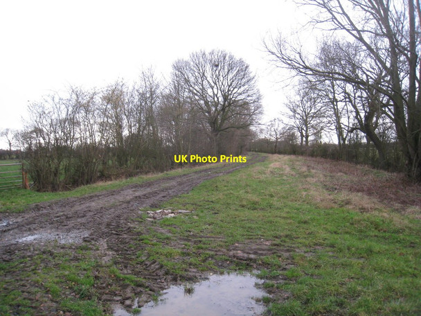 Photo 6"x4" Geeseness Lane Fosterhouses c2012