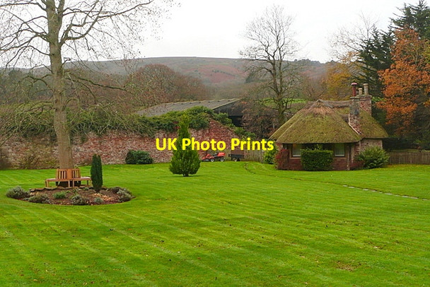 Photo 6"x4" Garden at Holnicote House Brandish Street c2011