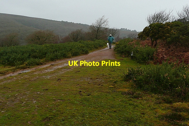 Photo 6"x4" Track in Horner Wood Horner\/SS8945 c2011