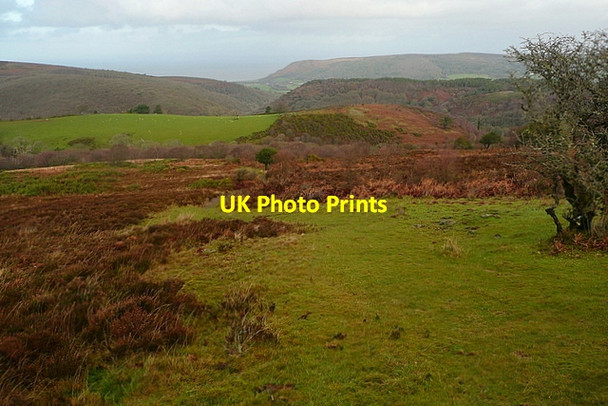 Photo 6"x4" Path junction on Dunkery Hill Luccombe\/SS9144 c2011