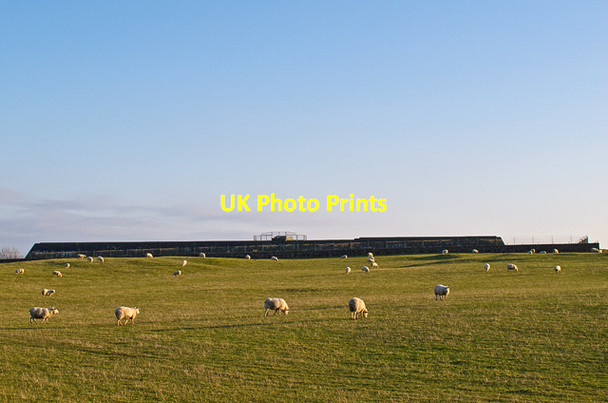 Photo 6"x4" Grazing land near Finmont Farm Leslie\/NO2401 c2012