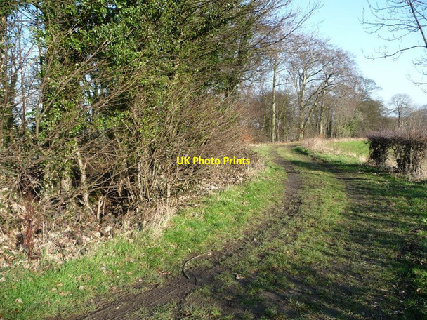 Photo 6"x4" View north-east along Watchley Lane Thurnscoe c2012
