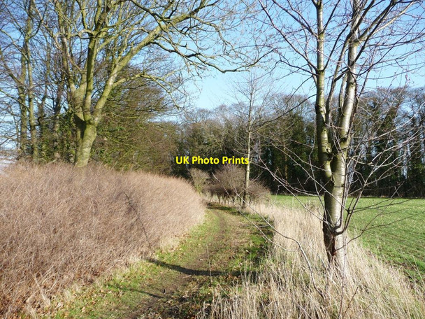 Photo 6"x4" Watchley Lane Goldthorpe c2012