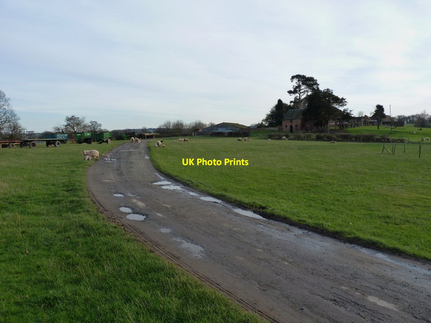 Photo 6"x4" Wood Hall farm Hanwood c2012