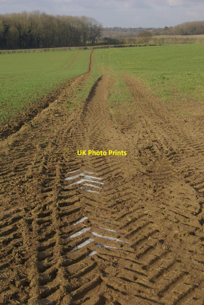 Photo 6"x4" Farmland near Easenhall Easenhall c2012