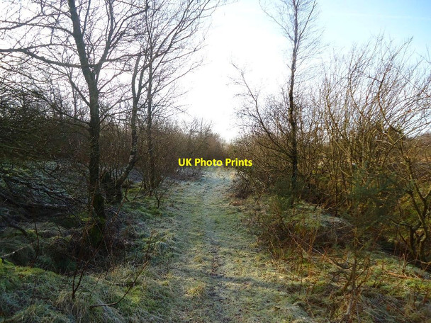 Photo 6"x4" Arden Moss, Slamannan Railway Plains\/NS7966 c2012