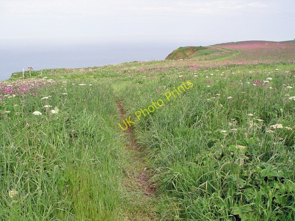 Photo 6"x4" The Headland way towards Bempton Cliffs Buckton\/TA1872 c2008