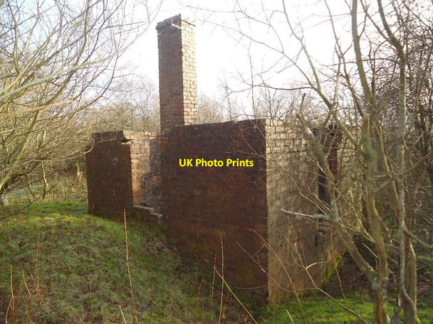 Photo 6"x4" Arden Moss, colliery ruins Plains\/NS7966 c2012