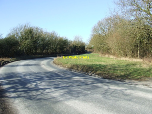 Photo 6"x4" Country Road The Woodlands\/TM0540 c2012