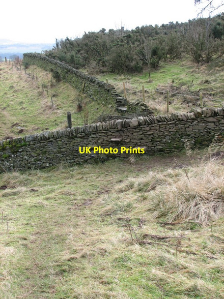 Photo 6"x4" Stile leading to Balkello Woodland Kirkton of Auchterhouse c2012