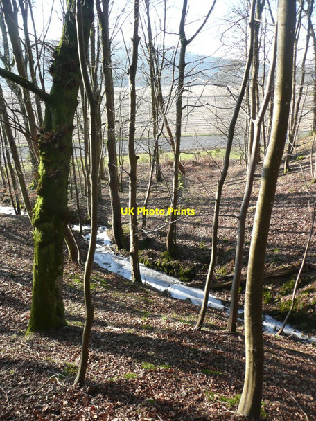 Photo 6"x4" Frozen burn in the woods Balmacneil c2012