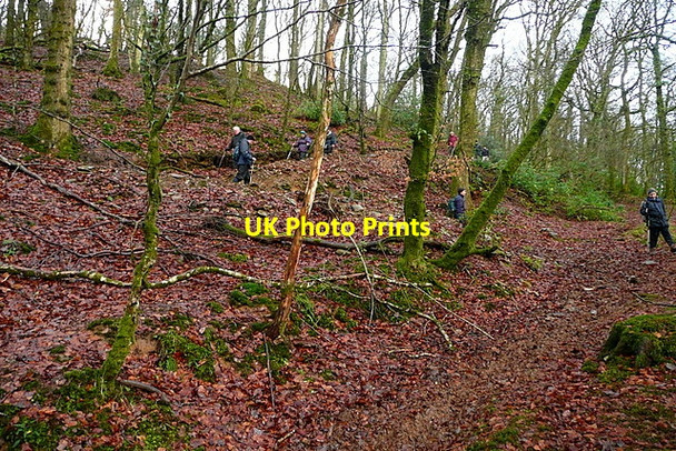 Photo 6"x4" Bridleway in Blagdon Wood Cutcombe c2012